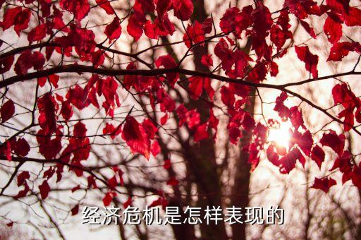  經濟危機是怎樣表現的