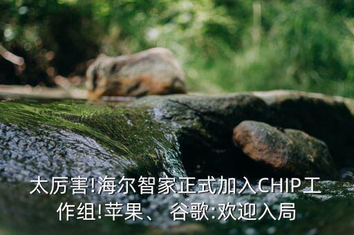 太厲害!海爾智家正式加入CHIP工作組!蘋果、 谷歌:歡迎入局