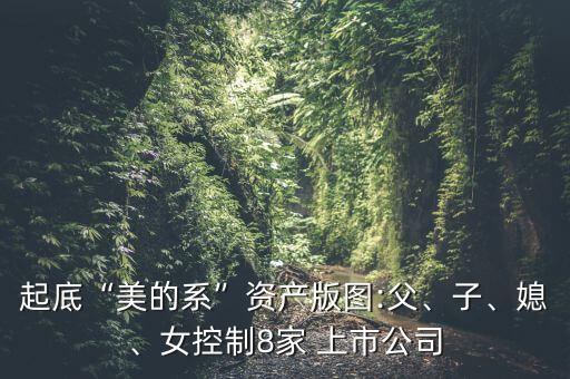 起底“美的系”資產(chǎn)版圖:父、子、媳、女控制8家 上市公司