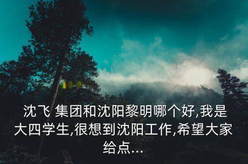  沈飛 集團(tuán)和沈陽黎明哪個好,我是大四學(xué)生,很想到沈陽工作,希望大家給點...