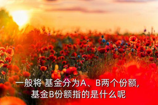 一般將 基金分為A、B兩個份額, 基金B(yǎng)份額指的是什么呢