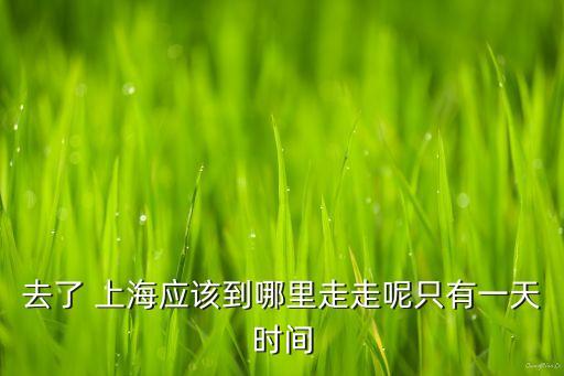 去了 上海應(yīng)該到哪里走走呢只有一天時間