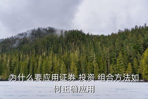 投資組合業(yè)績?cè)u(píng)價(jià)