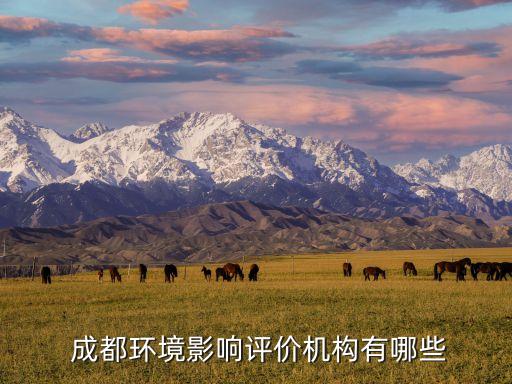  成都環(huán)境影響評價機構有哪些