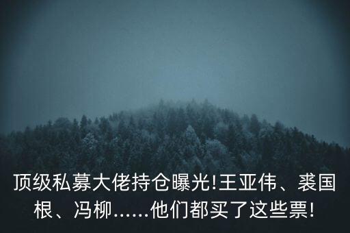 頂級(jí)私募大佬持倉(cāng)曝光!王亞偉、裘國(guó)根、馮柳……他們都買(mǎi)了這些票!
