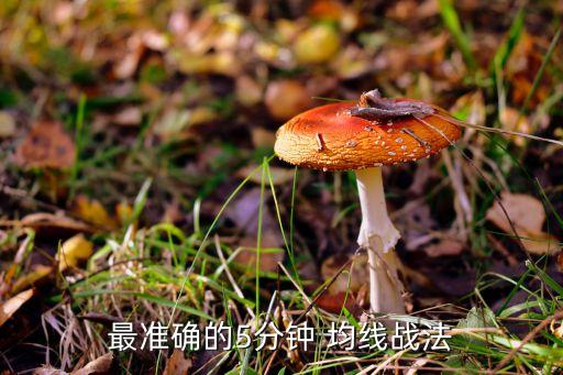 最準確的5分鐘 均線戰(zhàn)法