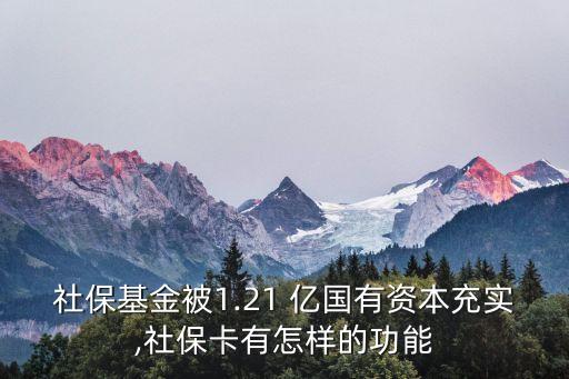 社?；鸨?.21 億國(guó)有資本充實(shí),社?？ㄓ性鯓拥墓δ? class=