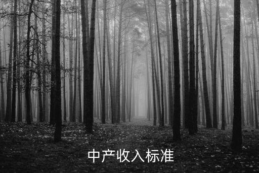  中產(chǎn)收入標(biāo)準
