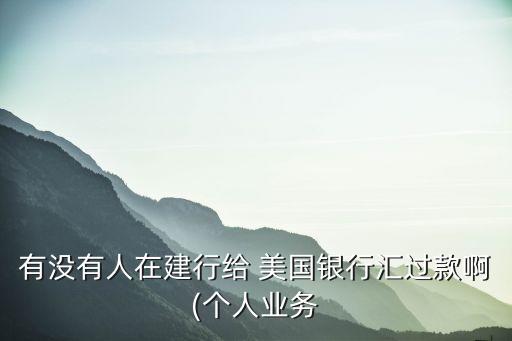 有沒有人在建行給 美國銀行匯過款啊(個(gè)人業(yè)務(wù)