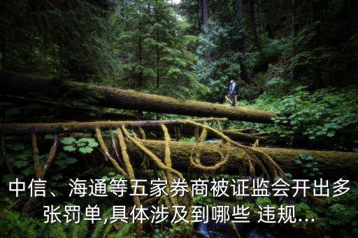 中信、海通等五家券商被證監(jiān)會(huì)開出多張罰單,具體涉及到哪些 違規(guī)...