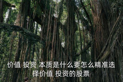 價值 投資 本質(zhì)是什么要怎么精準選擇價值 投資的股票