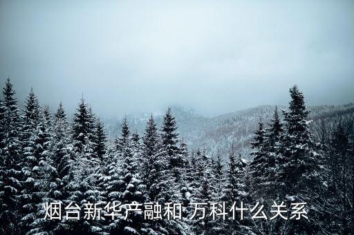 煙臺新華產(chǎn)融和 萬科什么關系