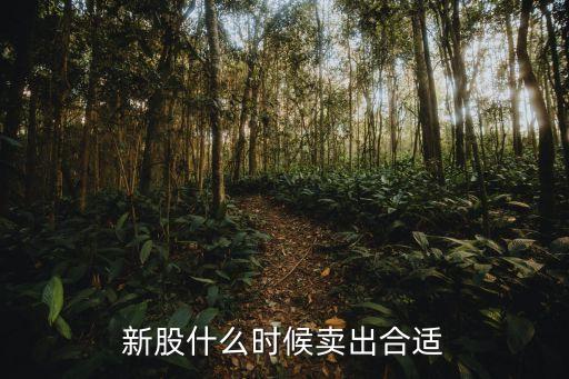 拋售股票時機(jī),股票拋售沒人買怎么辦