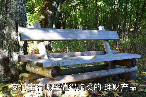  支付寶有哪些值得購(gòu)買的 理財(cái)產(chǎn)品