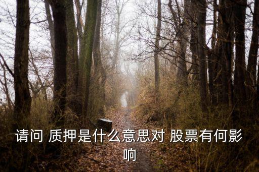 請問 質押是什么意思對 股票有何影響