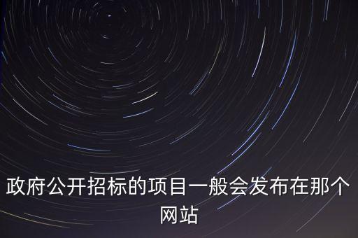 政府公開招標(biāo)的項目一般會發(fā)布在那個網(wǎng)站