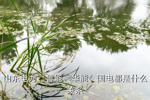 山東電力、魯能、華能、國電都是什么關(guān)系