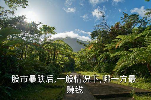 股市暴跌后,一般情況下,哪一方最 賺錢(qián)