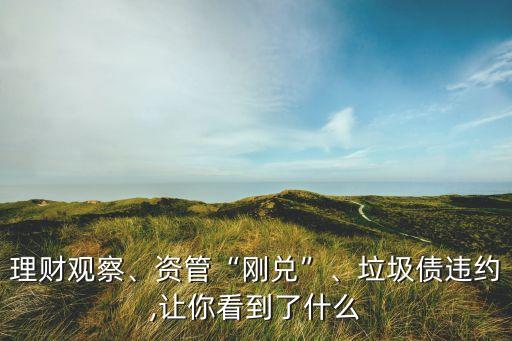 理財(cái)觀察、資管“剛兌”、垃圾債違約,讓你看到了什么