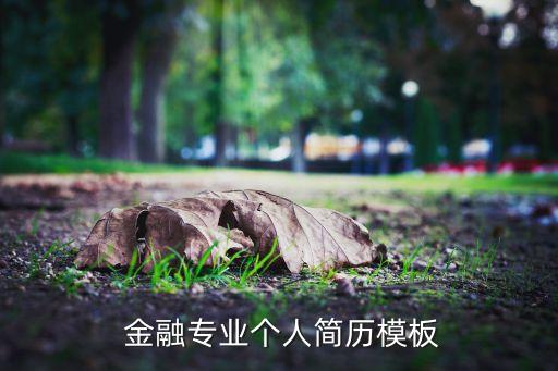 金融投資的自我評價(jià)