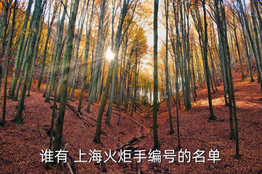 誰有 上?；鹁媸志幪柕拿麊? class=
