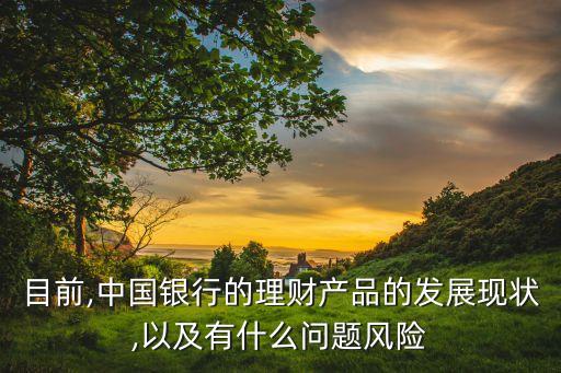 目前,中國銀行的理財產(chǎn)品的發(fā)展現(xiàn)狀,以及有什么問題風險