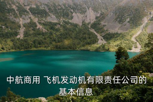 上海大飛機臨港,臨港大飛機產業(yè)園項目