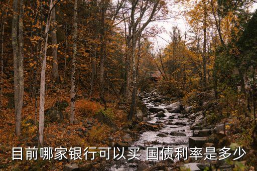 目前哪家銀行可以買 國(guó)債利率是多少