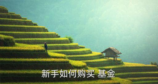 新手如何購(gòu)買 基金