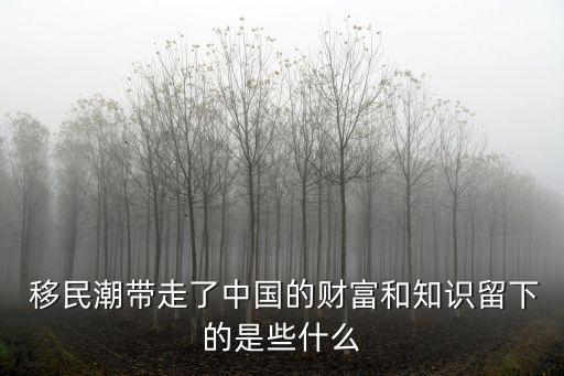  移民潮帶走了中國的財(cái)富和知識留下的是些什么