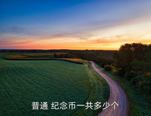 普通 紀(jì)念幣一共多少個