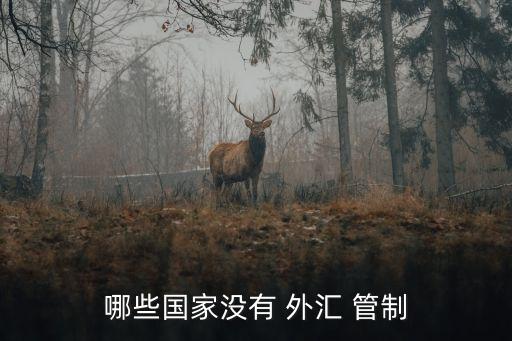中國會取消外匯管制嗎,取消經(jīng)常項(xiàng)目的外匯管制