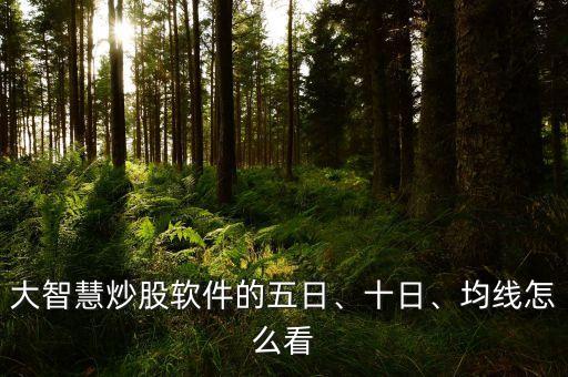 大智慧炒股軟件的五日、十日、均線怎么看