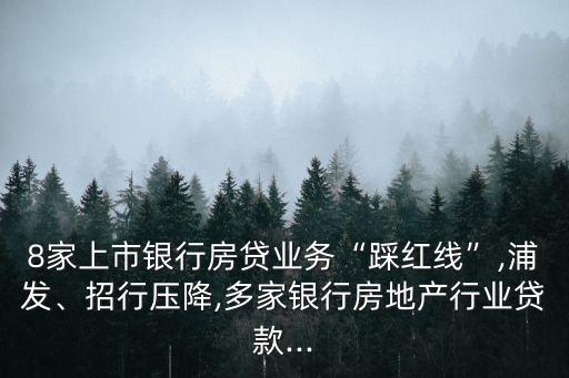 8家上市銀行房貸業(yè)務“踩紅線”,浦發(fā)、招行壓降,多家銀行房地產(chǎn)行業(yè)貸款...
