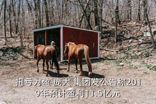 扭虧為盈 龐大 集團(tuán)發(fā)公告稱(chēng)2019年預(yù)計(jì)盈利11.5億元