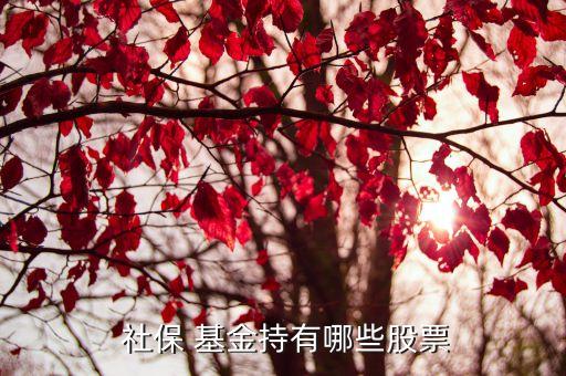 社?；鹚囊蝗M合,全國社保基金四一三組合最新持股明細(xì)