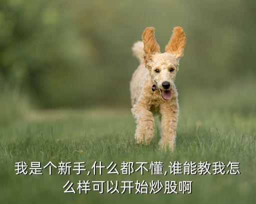 我是個(gè)新手,什么都不懂,誰(shuí)能教我怎么樣可以開(kāi)始炒股啊