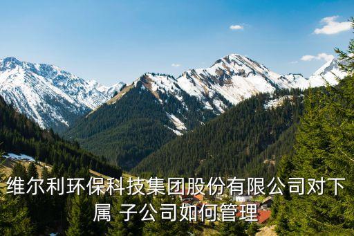 維爾利環(huán)?？萍技瘓F股份有限公司對下屬 子公司如何管理