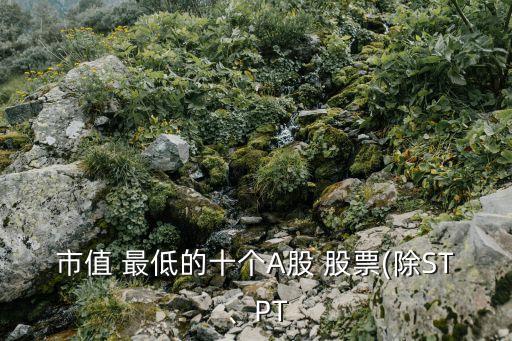 市值 最低的十個(gè)A股 股票(除ST、PT