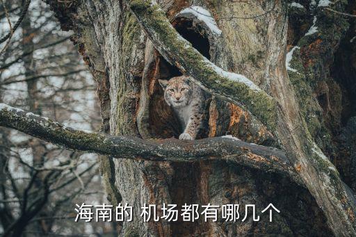 中國(guó)博鰲國(guó)際機(jī)場(chǎng),博鰲國(guó)際機(jī)場(chǎng)2022\/2023冬春航班