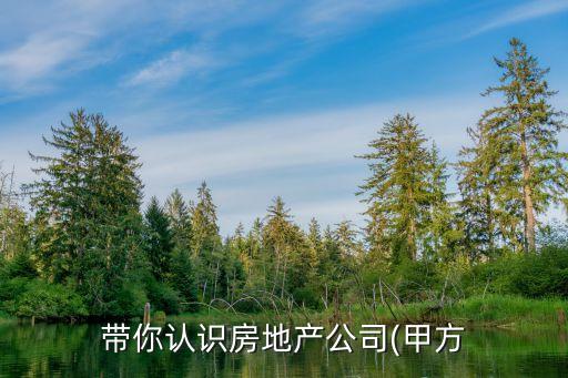 帶你認(rèn)識房地產(chǎn)公司(甲方
