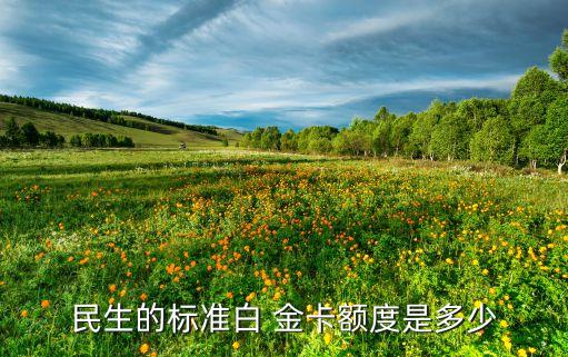 民生銀行車(chē)主白金卡