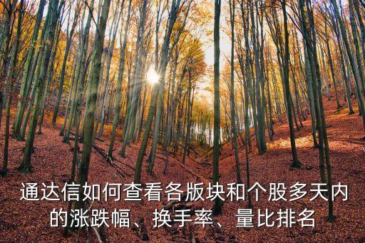  通達(dá)信如何查看各版塊和個(gè)股多天內(nèi)的漲跌幅、換手率、量比排名