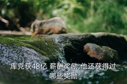 庫(kù)克獲48億 薪酬獎(jiǎng)勵(lì),他還獲得過哪些獎(jiǎng)勵(lì)