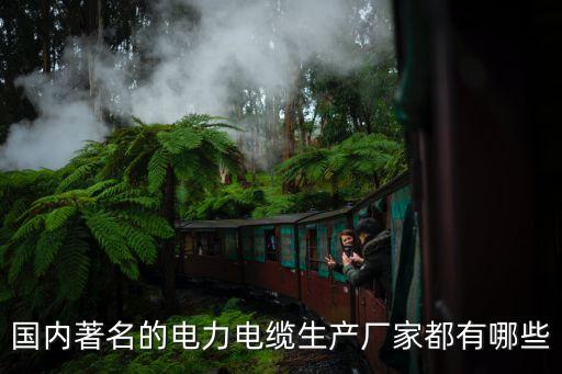 國內著名的電力電纜生產廠家都有哪些