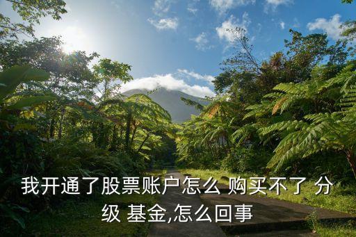 如何購買分級(jí)基金,中國(guó)如何購買橋水基金