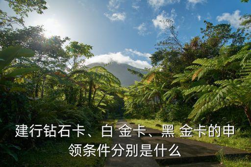 建行鉆石卡、白 金卡、黑 金卡的申領(lǐng)條件分別是什么