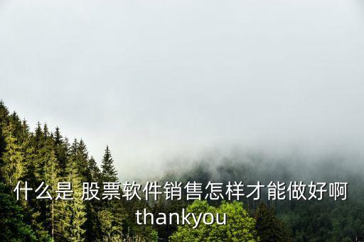 什么是 股票軟件銷(xiāo)售怎樣才能做好啊thankyou