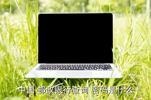 中國(guó) 郵政銀行查詢(xún) 密碼是什么