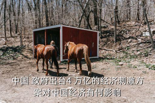 中國(guó) 政府出臺(tái)4 萬(wàn)億的經(jīng)濟(jì)刺激方案對(duì)中國(guó)經(jīng)濟(jì)有何影響